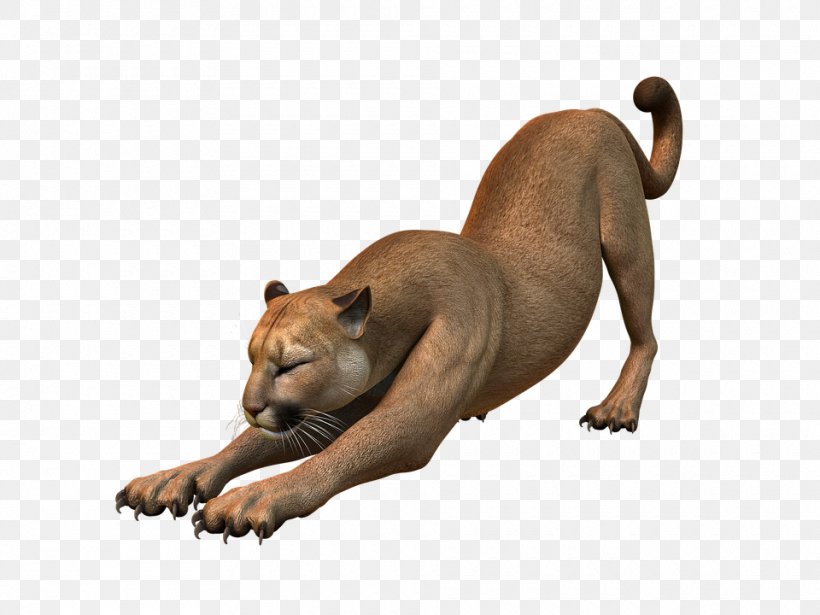 Dog Breed Cougar Cat Felinae Puppy, PNG, 960x720px, Dog Breed, Big Cat, Big Cats, Blockchain, Carnivoran Download Free