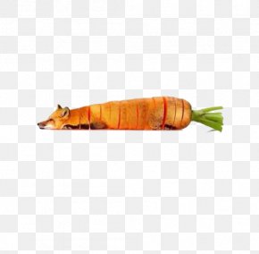 Creative Vegetable Design - Food Hybrid Fruit Animal PNG