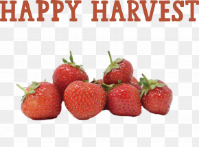 Happy Harvest Harvest Time PNG