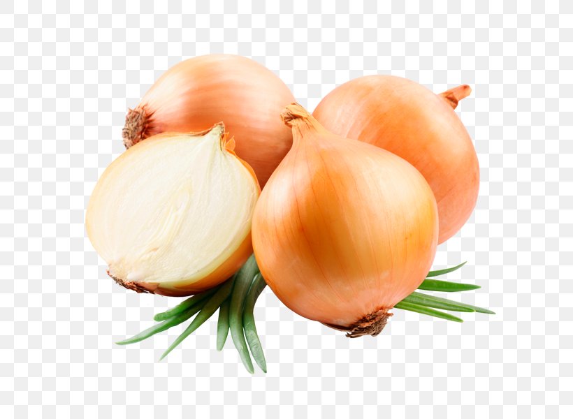 Vegetable Yellow Onion Food Ugam Exports Product, PNG, 600x600px, Vegetable, Carrot, Company, Cooking, Export Download Free