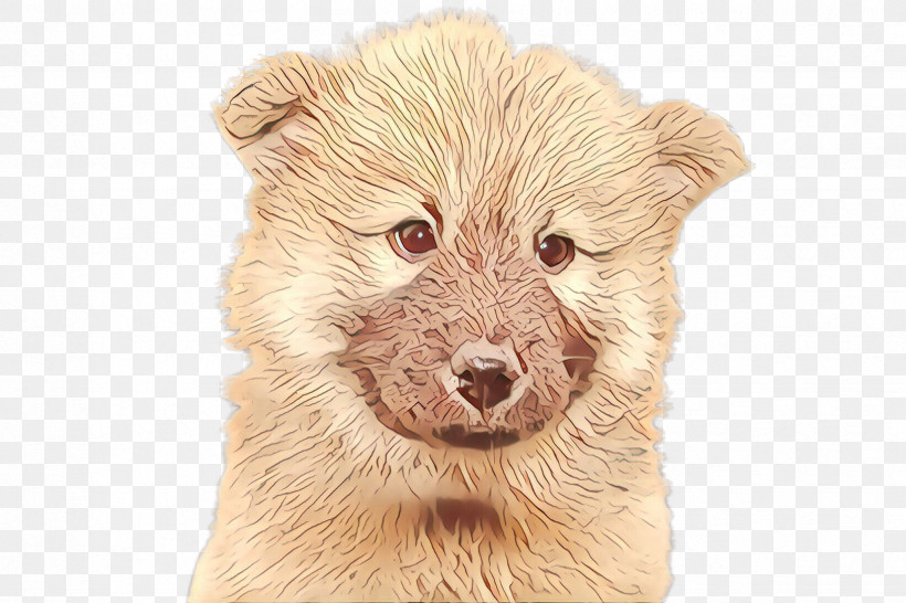 Dog Snout Puppy Beige Drawing, PNG, 2448x1632px, Dog, Beige, Drawing, Puppy, Snout Download Free