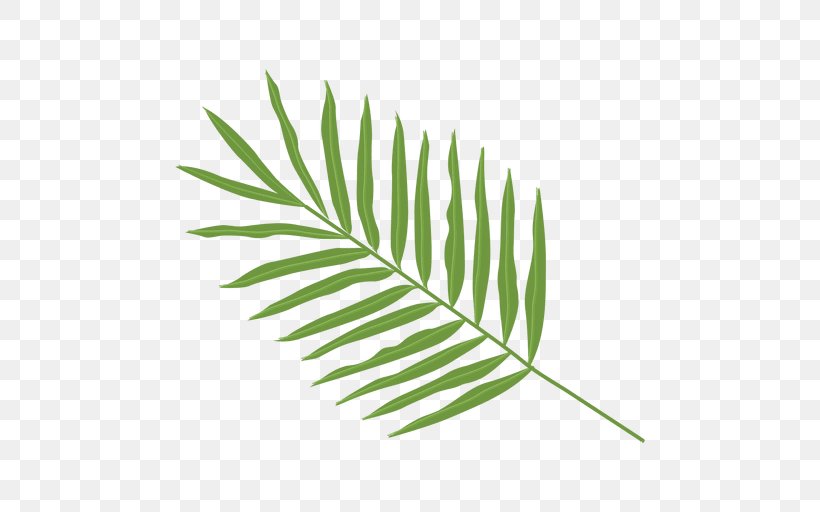 Palma Leaf Arecaceae Clip Art, PNG, 512x512px, Palma, Arecaceae, Grass, Grass Family, Leaf Download Free