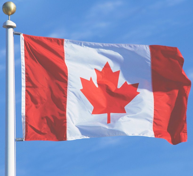 Flag Of Canada Flag Of The United States, PNG, 2316x2118px, Canada, Americas, British North America Acts, Canada Day, Canadian Expeditionary Force Download Free