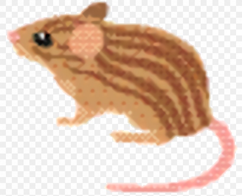 Hamster Background, PNG, 1244x1008px, Rat, Animal Figure, Computer Mouse, Fawn, Hamster Download Free