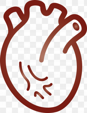 Heart Organ PNG