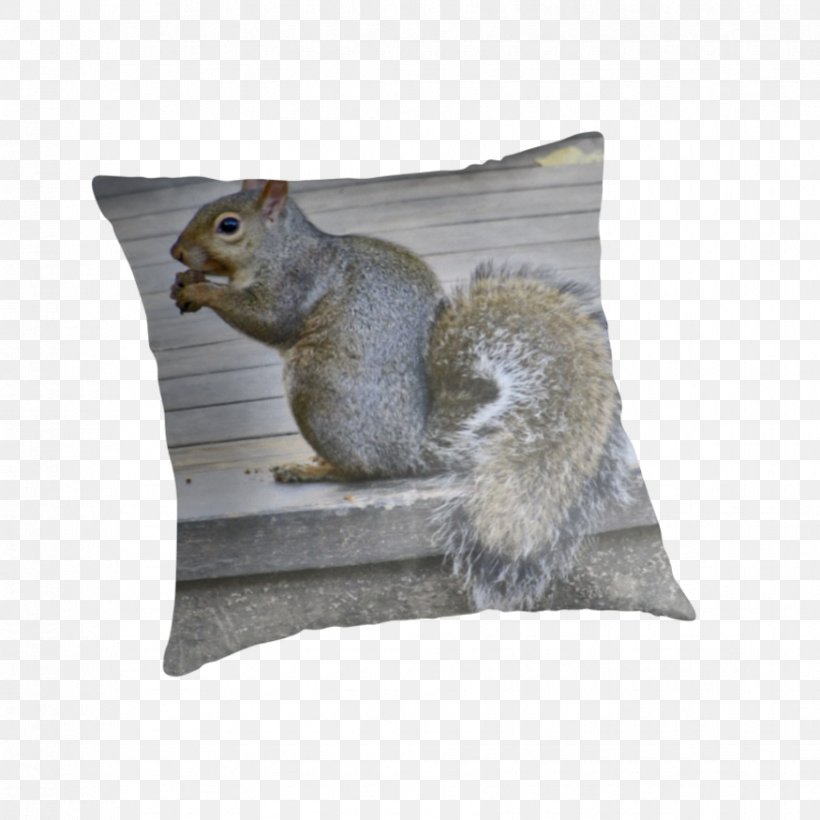 Squirrel Cushion Throw Pillows Fauna, PNG, 875x875px, Squirrel, Cushion, Fauna, Fur, Mammal Download Free