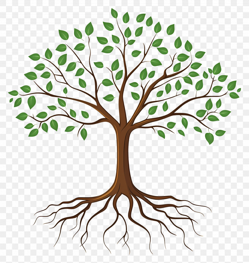 Tree With Roots - Tree With Roots And Green Leaves Illustration PNG