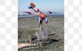 Emeryville Berkeley Marina Driftwood Mudflat Vehicle PNG