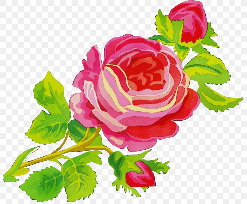 Garden Roses, PNG, 800x676px, Three Flowers, Artificial Flower, Cut Flowers, Floribunda, Flower Download Free