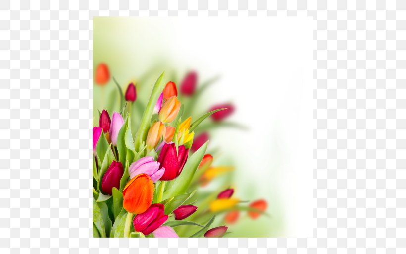 Tulip Butterfly Flower Bouquet Floral Design, PNG, 512x512px, Tulip, Bud, Butterflies And Moths, Butterfly, Cut Flowers Download Free