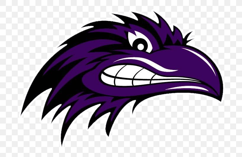 Vista Del Lago High School Baltimore Ravens Chicago Blitz Sport, PNG, 751x534px, Baltimore Ravens, Art, Beak, California, Cartoon Download Free