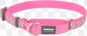 Red Collar Dog - Dingo Dog Collar Canaan Dog Norwegian Lundehund Martingale PNG
