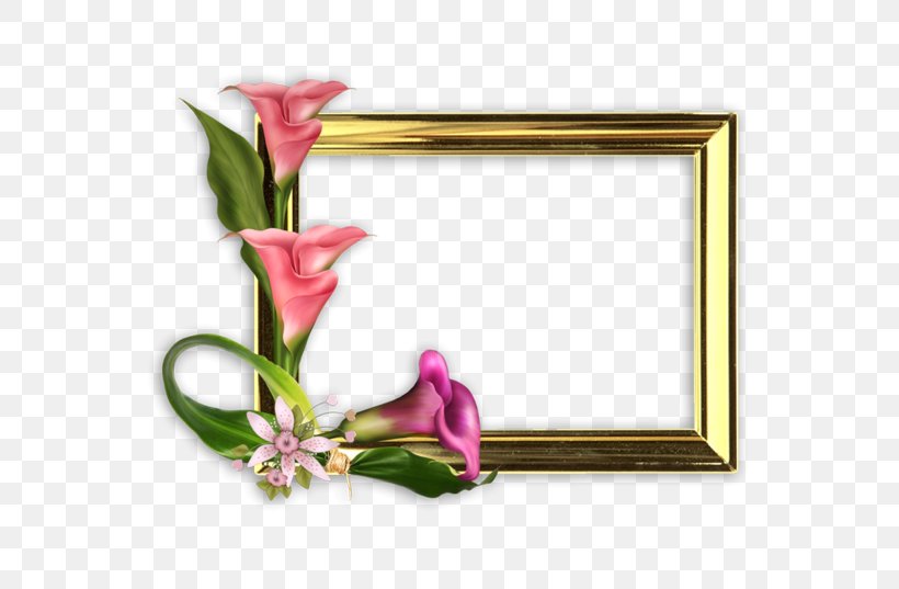 Mother's Day Photography Picture Frames, PNG, 600x537px, Mother S Day, Child, Cut Flowers, Father, Father S Day Download Free