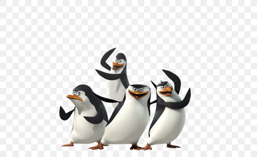 Penguin Film Madagascar DreamWorks Animation, PNG, 500x500px, Rico, Beak, Bird, Flightless Bird, Game Download Free