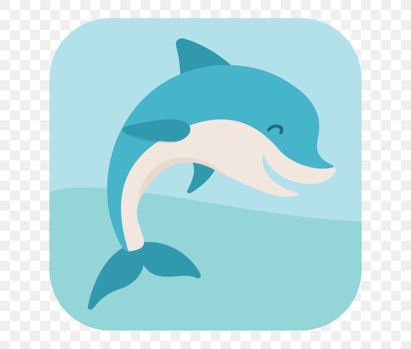 Porpoise Common Bottlenose Dolphin Short-beaked Common Dolphin Tucuxi, PNG, 696x696px, Porpoise, Animal, Aqua, Bottlenose Dolphin, Cetacea Download Free