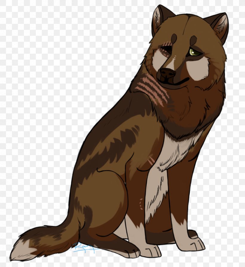 Red Fox Cat Procyonidae Fur, PNG, 855x934px, Red Fox, Bear, Carnivoran, Cartoon, Cat Download Free
