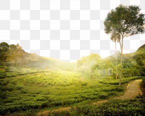 Sri Images Sri Transparent Png Free Download