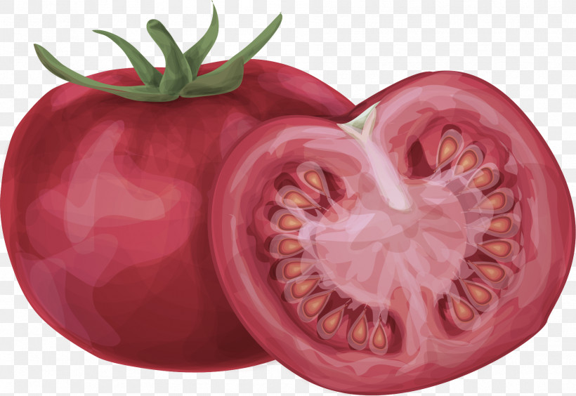Tomato, PNG, 1879x1294px, Tomato, Biology, Bush Tomato, Local Food, Natural Food Download Free