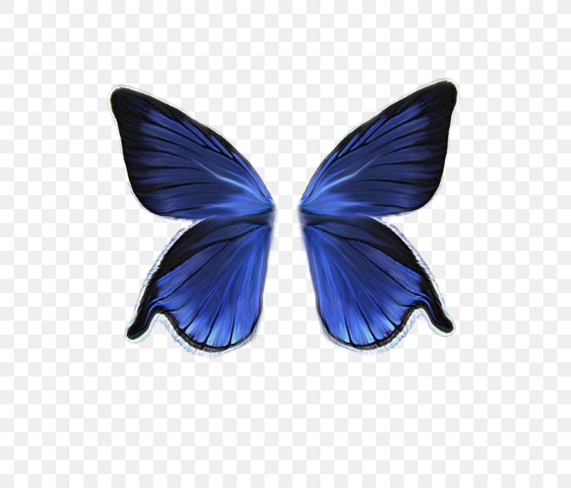 Butterfly Drawing, PNG, 700x700px, Butterfly, Blue, Butterflies And Moths, Deviantart, Drawing Download Free