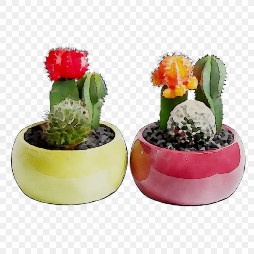 Cactus Flowerpot Succulent Plant Houseplant Garden, PNG, 1008x1008px, Cactus, Bromeliads, Cactus Garden, Caryophyllales, Ceramic Download Free