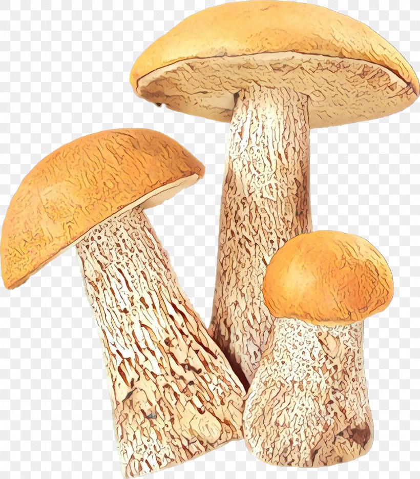 Edible Mushroom Fungus Vector Graphics Clip Art, PNG, 2338x2666px, Mushroom, Agaric, Agaricaceae, Agaricomycetes, Agaricus Download Free