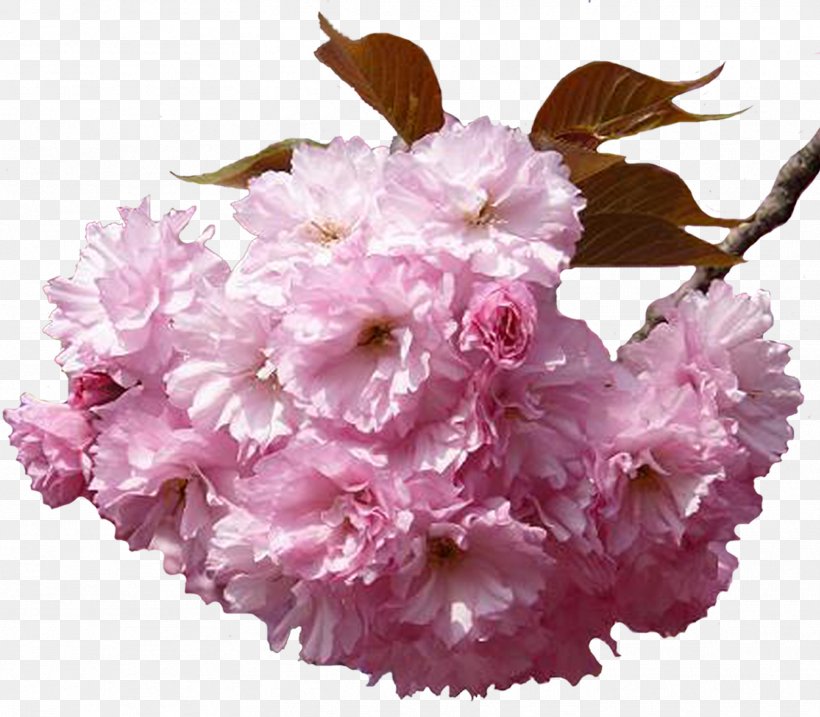Flower Bouquet Clip Art Blossom, PNG, 1768x1546px, Flower, Artificial Flower, Blossom, Branch, Carnation Download Free