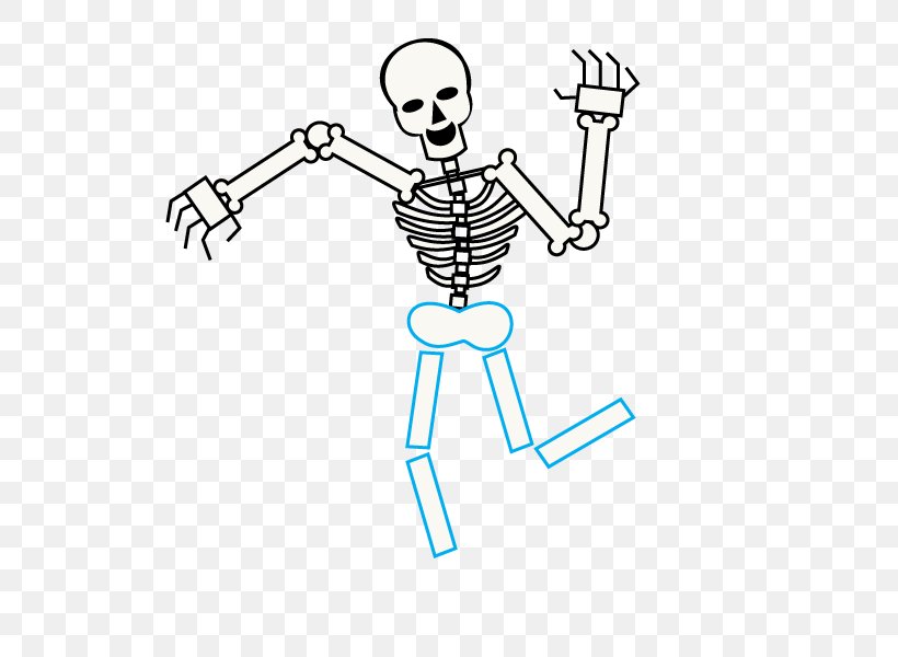 Human Skeleton Drawing Cartoon Bone, PNG, 678x600px, Watercolor, Cartoon, Flower, Frame, Heart Download Free