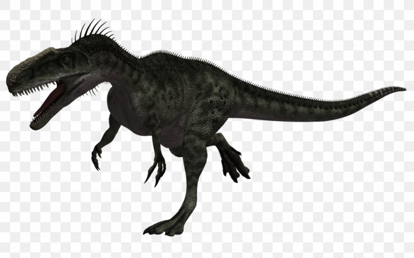 Tyrannosaurus Monolophosaurus Dinosaur Megalosaurus Allosaurus, PNG, 1024x639px, Tyrannosaurus, Allosaurus, Animal Figure, Apatosaurus, Bipedalism Download Free