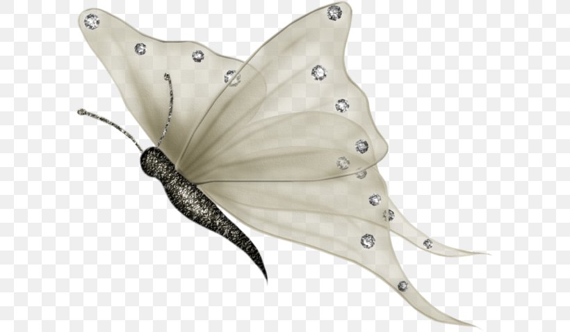 Youtube Desktop Wallpaper Butterfly Png 600x477px Youtube Animated Film Blog Butterfly Drawing Download Free
