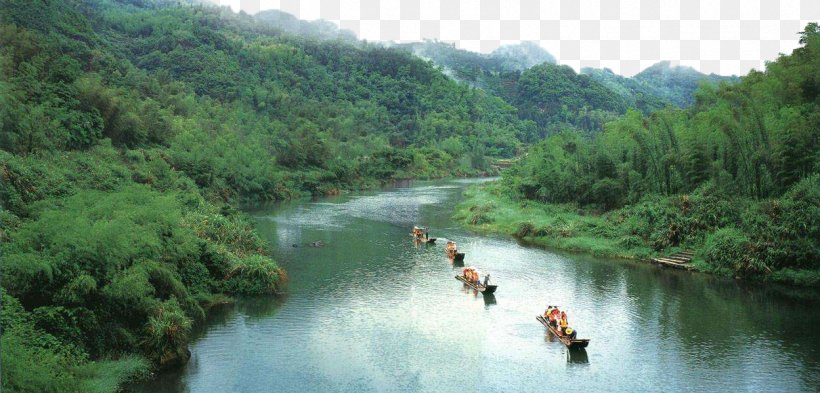 Fuzhou Taimu Mountain Fuan U767du6c34u6d0b Yuntai Mountain, PNG, 1249x600px, Fuzhou, Bank, Biome, China, Forest Download Free