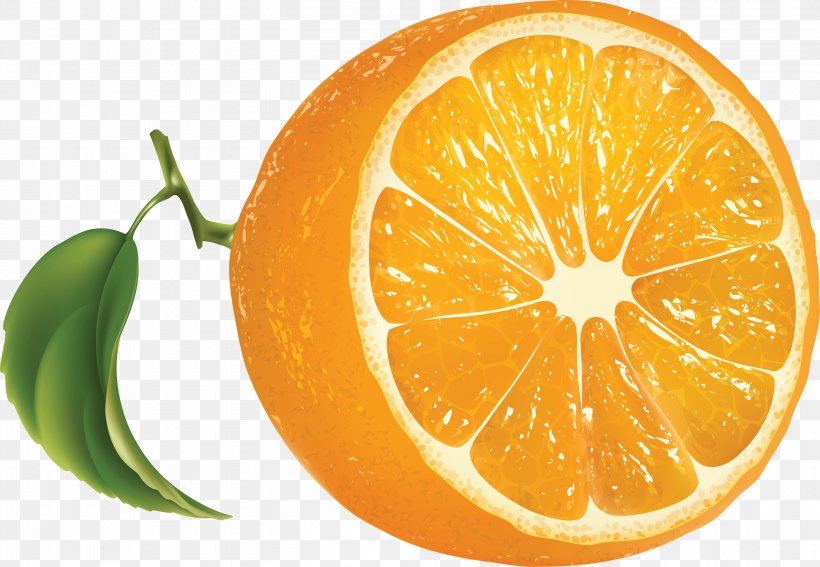 Orange Juice Tangerine Lemon, PNG, 2811x1944px, Tangerine, Bitter Orange, Cdr, Citric Acid, Citrus Download Free