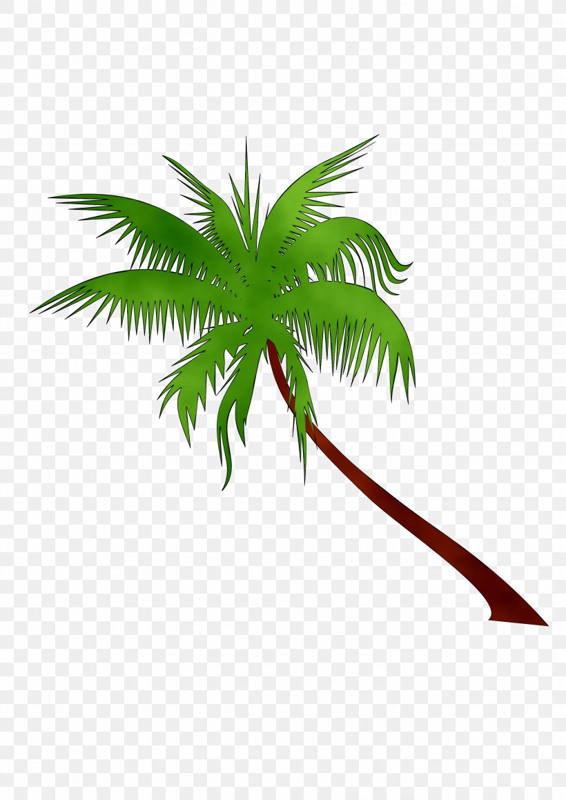 Coconut Clip Art, PNG, 2807x3970px, Coconut, Adonidia, Areca Palm, Arecales, Botany Download Free