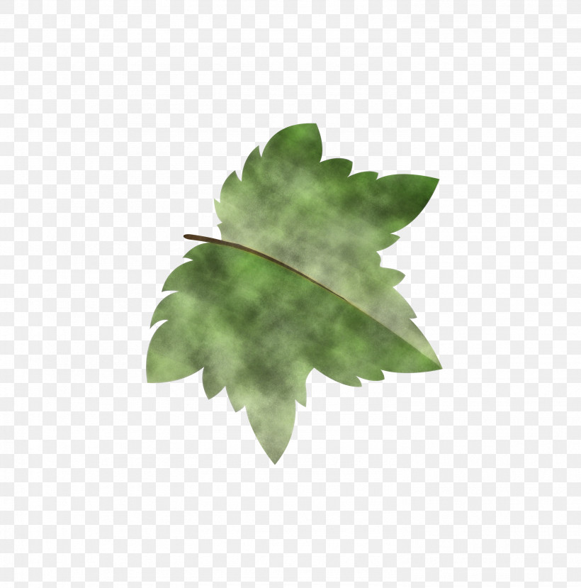 Fern, PNG, 2964x3000px, Autumn Leaf, Autumn Leaf Color, Branch, Cartoon Leaf, Computer Download Free