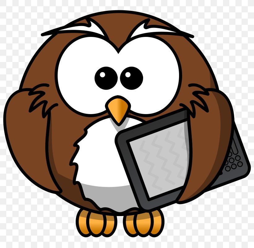 Owl Bird Barnes & Noble Nook Sandling Primary School E-book, PNG, 800x800px, Owl, Amazon Kindle, Artwork, Barnes Noble Nook, Beak Download Free