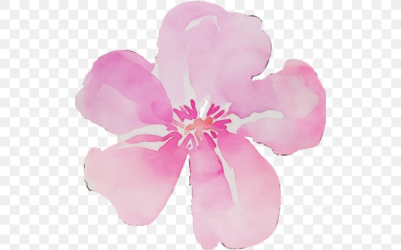 Watercolor Pink Flowers, PNG, 512x512px, Watercolor, Blog, Blossom, Cut Flowers, Flower Download Free