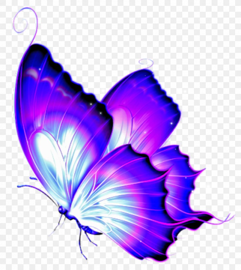 Butterfly Clip Art Butterflies & Dragonflies: A Site Guide Image, PNG, 1781x2000px, Butterfly, Butterflies And Moths, Butterfly Gardening, Drawing, Flower Download Free