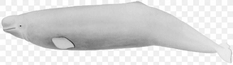 Car Marine Mammal, PNG, 1495x422px, Car, Auto Part, Black And White, Cake Decorating, Cake Decorating Supply Download Free