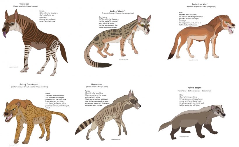 Savannah Cat Lion Hyena Gray Wolf Animal, PNG, 1600x983px, Savannah Cat, Animal, Animal Figure, Badger, Big Cats Download Free