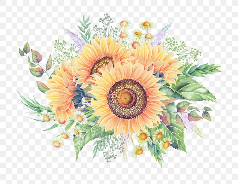 Common Sunflower Cartoon, PNG, 800x634px, Common Sunflower, Art, Cartoon, Colored Pencil, Cut Flowers Download Free