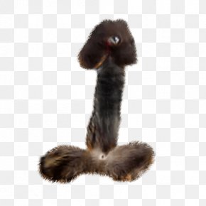Bird - Flightless Bird Ratite Fur PNG