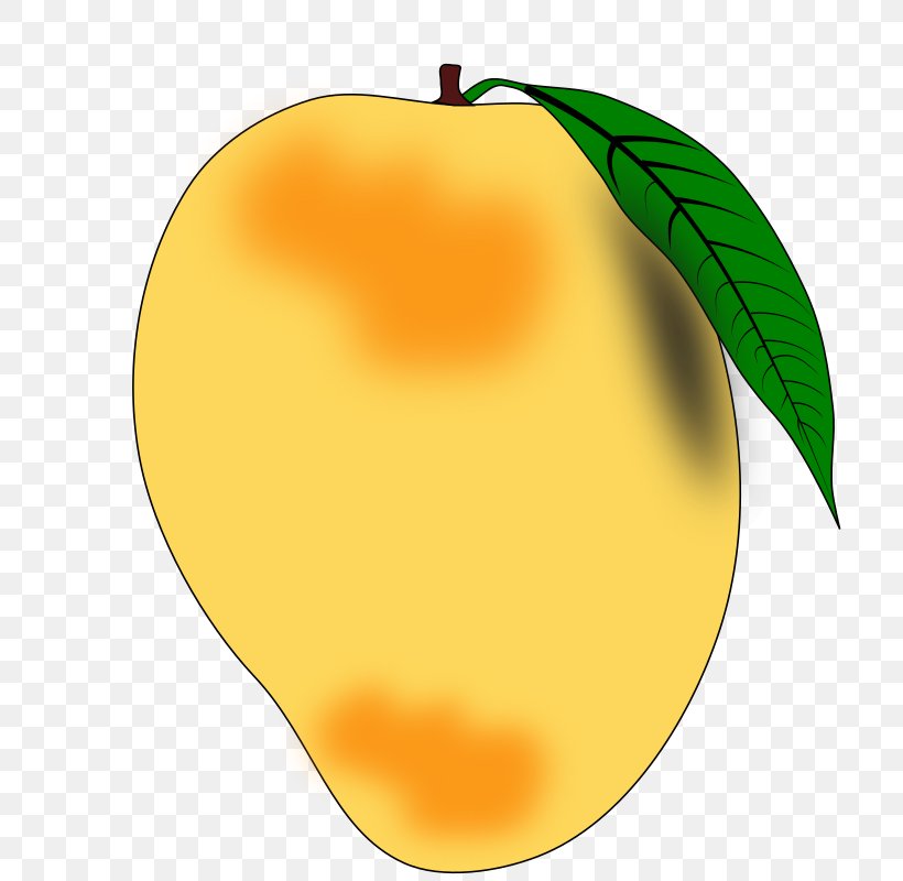 Mango Fruit Clip Art, PNG, 800x800px, Mango, Apple, Citrus, Flowering Plant, Food Download Free