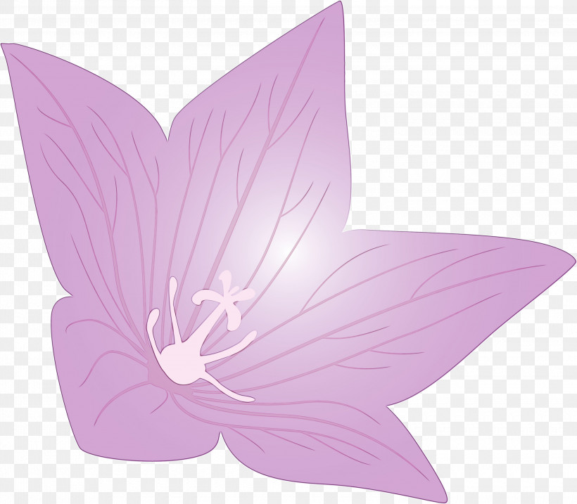 Lavender, PNG, 3000x2626px, Balloon Flower, Flower, Lavender, Paint, Petal Download Free