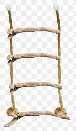 Hand Climbing A Ladder - Climbing PNG