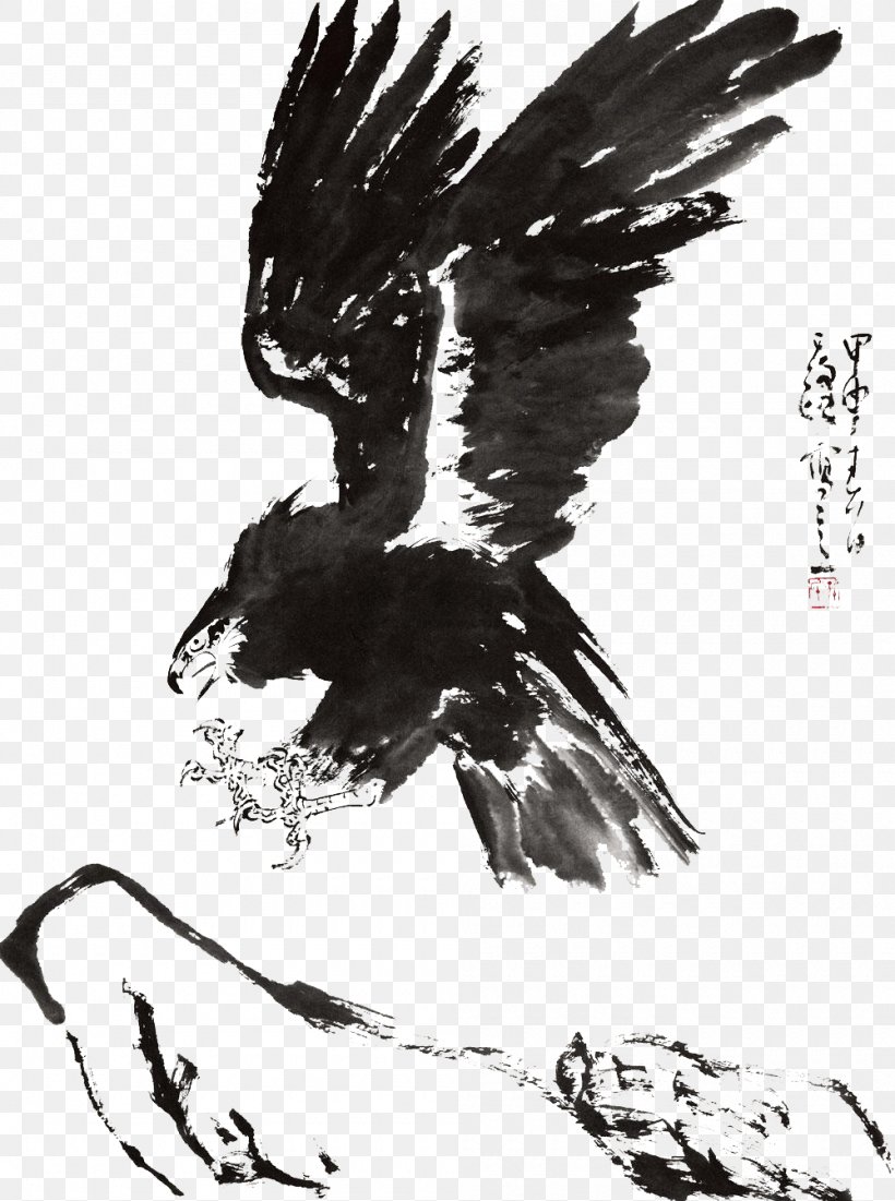 Eagle Ink Hawk, PNG, 1000x1343px, Eagle, Art, Beak, Bird, Bird Of Prey Download Free
