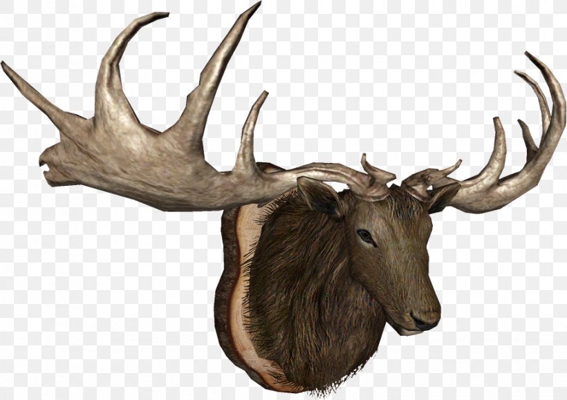 Elk Moose Trophy Hunting Reindeer Horn, PNG, 917x648px, Elk, Animal, Antler, Deer, Fauna Download Free