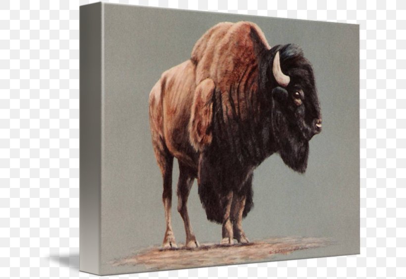 American Bison Watercolor Painting Drawing Art, PNG, 650x564px, American Bison, Acrylic Paint, Animal, Art, Bison Download Free