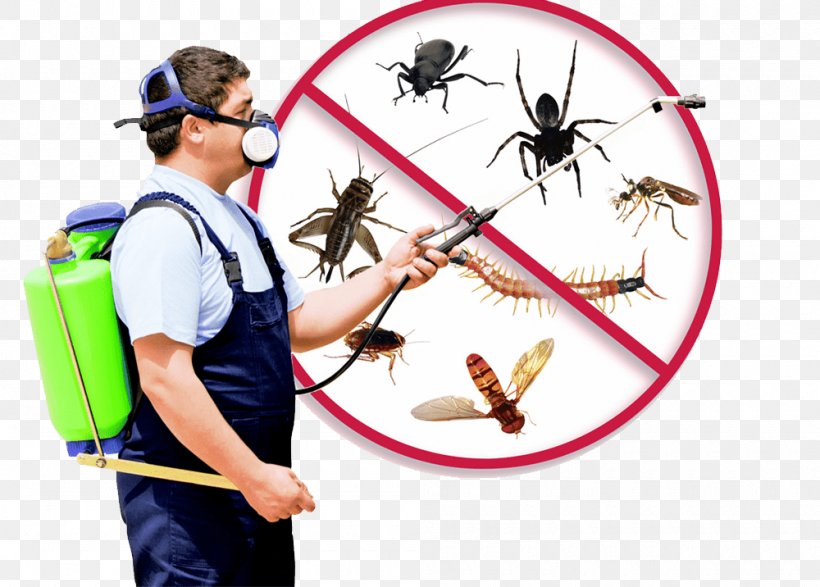 Mosquito Pest Control Fumigation Exterminator, PNG, 1000x716px, Mosquito, Archery, Bed Bug, Bird Control, Cockroach Download Free