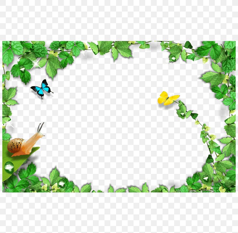 Picture Frames Design Image Leaf Vector Graphics, PNG, 804x804px, Picture Frames, Border, Branch, Butterfly, Chinoiserie Download Free