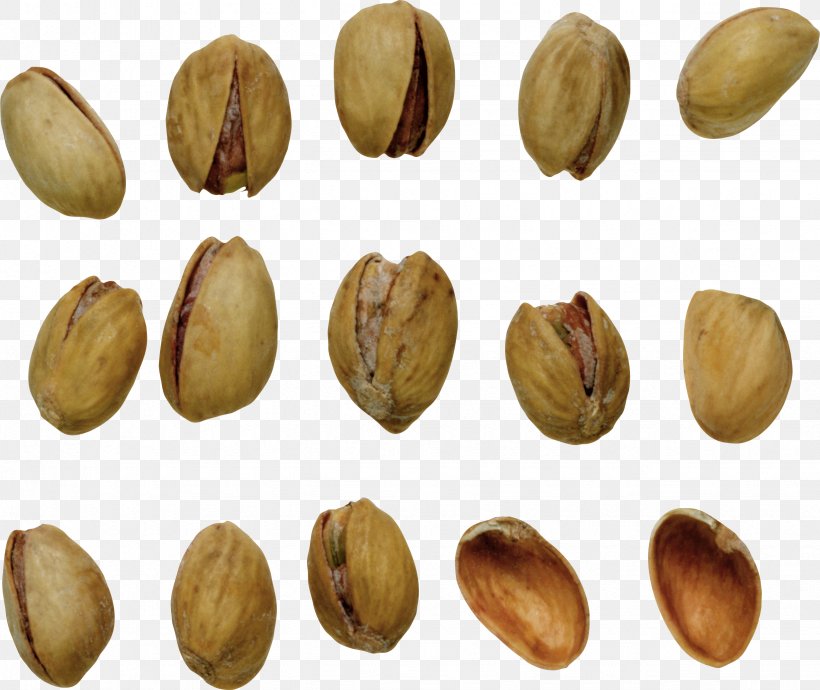 Pistachio Walnut Nucule Icon, PNG, 2455x2066px, Pistachio, Anacardiaceae, Commodity, Dried Fruit, Food Download Free