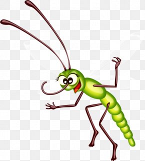 Green Ants - Ant Bee Cartoon Clip Art PNG